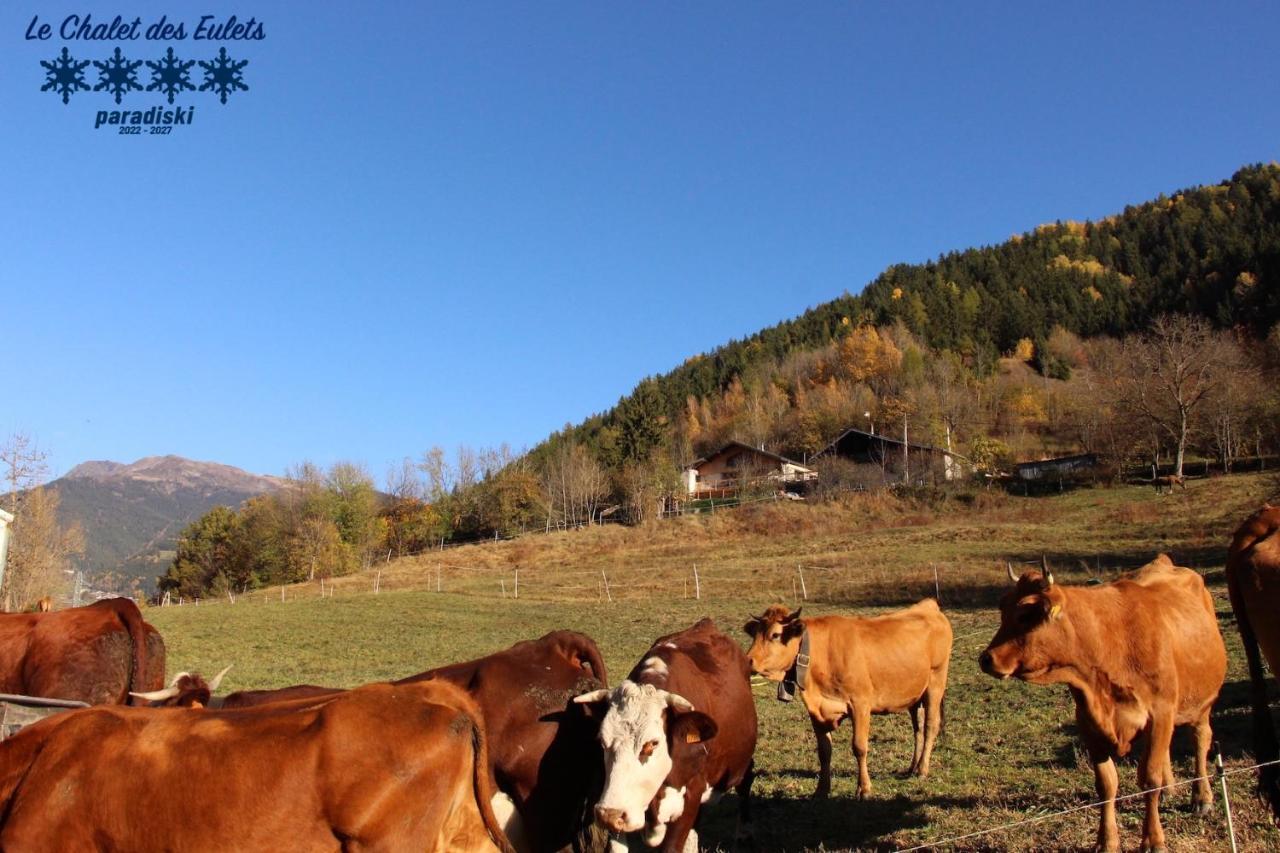 Le Chalet Des Eulets Bourg-Saint-Maurice Eksteriør billede